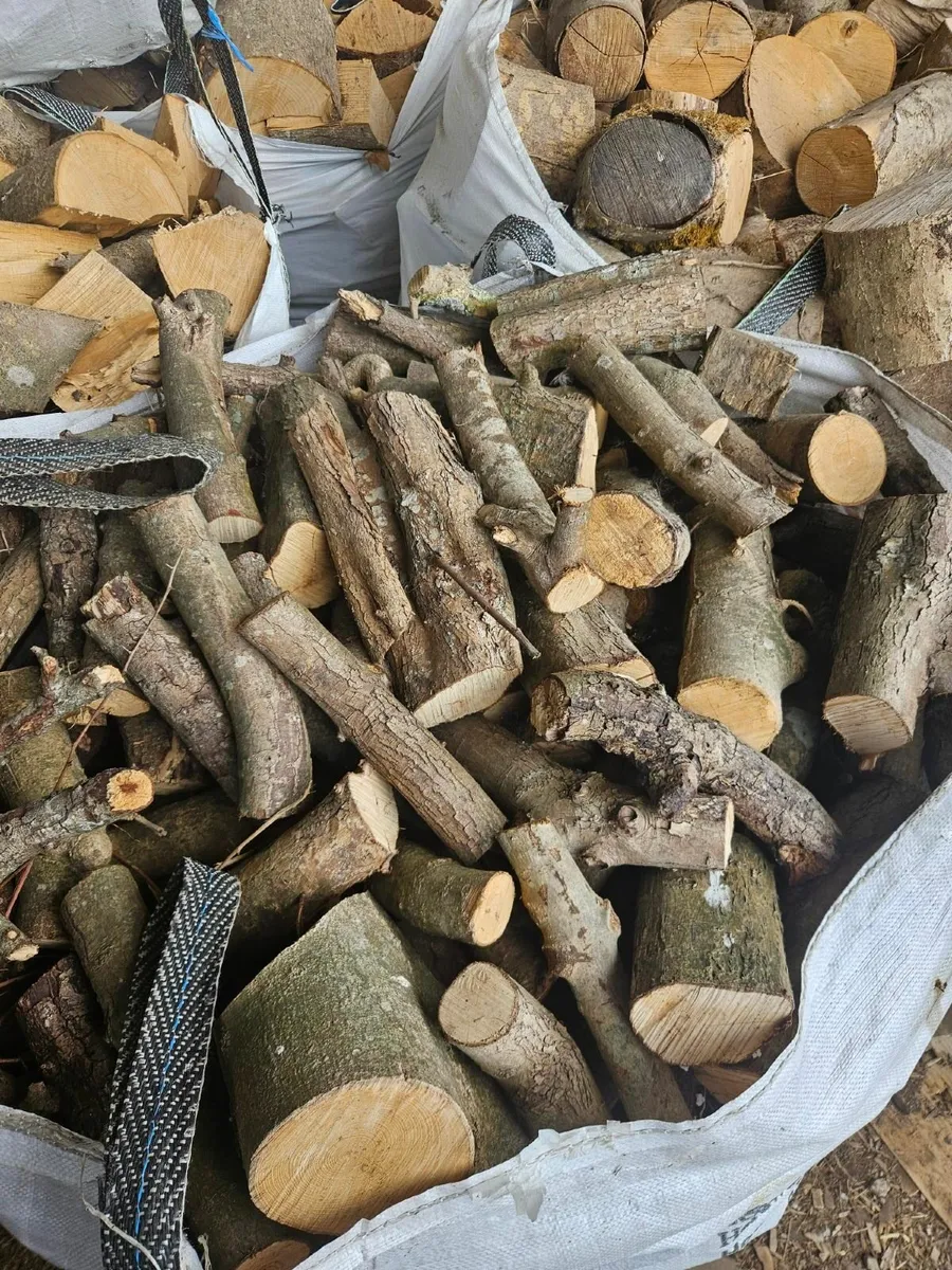 Firewood - Ton bags - Image 3