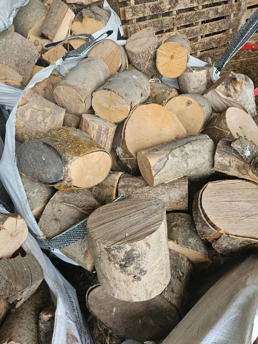 Firewood - Ton bags - Image 4