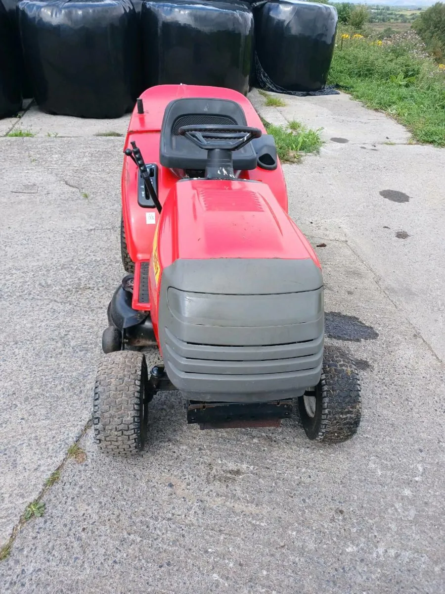 Rally Ride on Lawnmower - Image 2