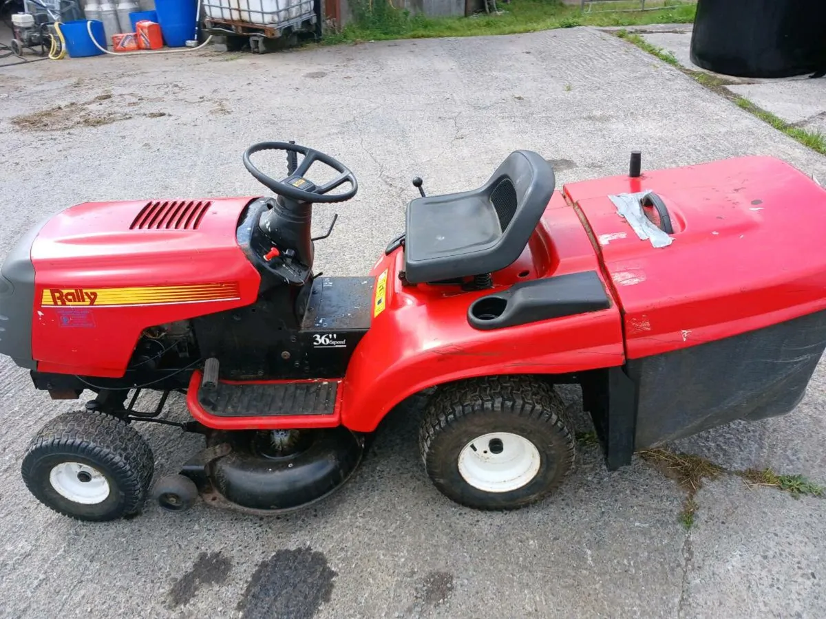 Rally Ride on Lawnmower - Image 3