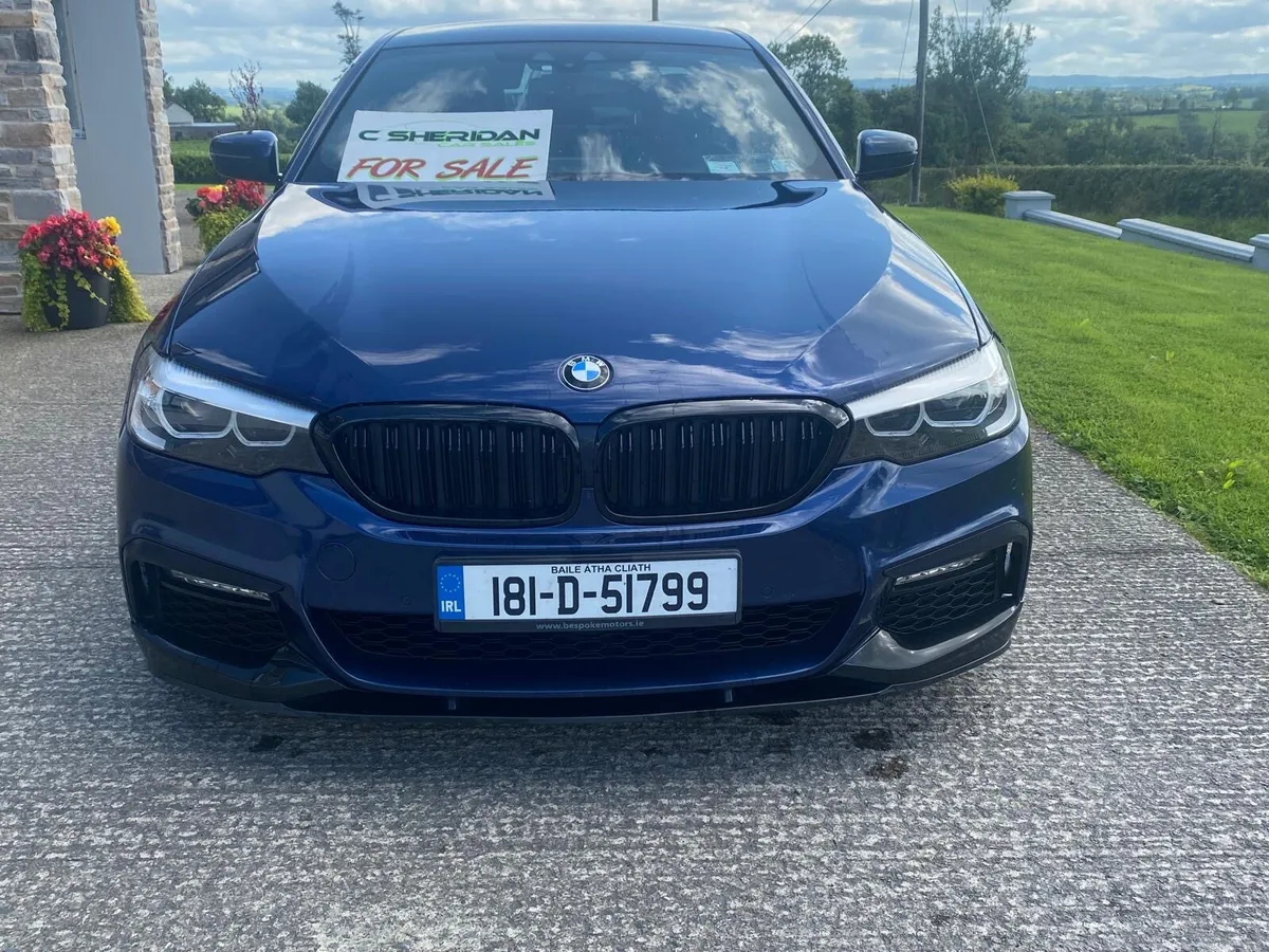 181 BMW 530D M SPORT - Image 3