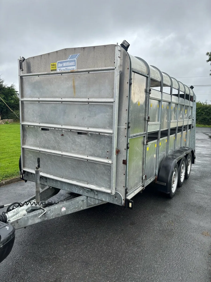 Triple axel Iforwilliams cattle trailer - Image 1