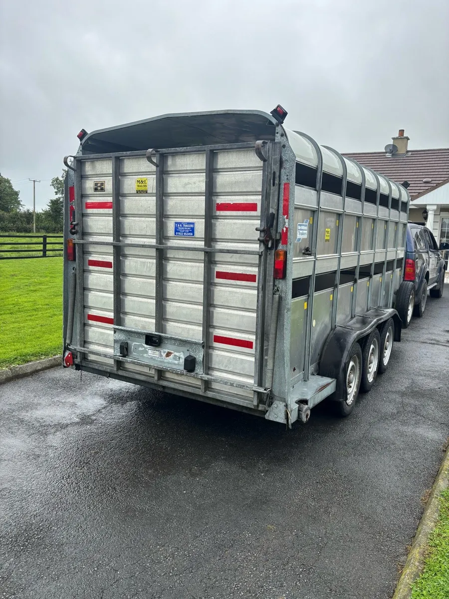 Triple axel Iforwilliams cattle trailer - Image 3