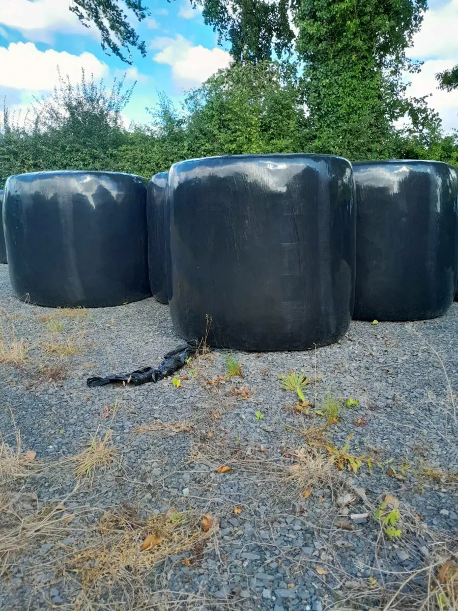 Haylage and silage
