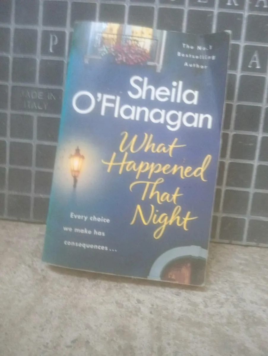 What Happened That Night by Shelia O'Flanagan - Image 1