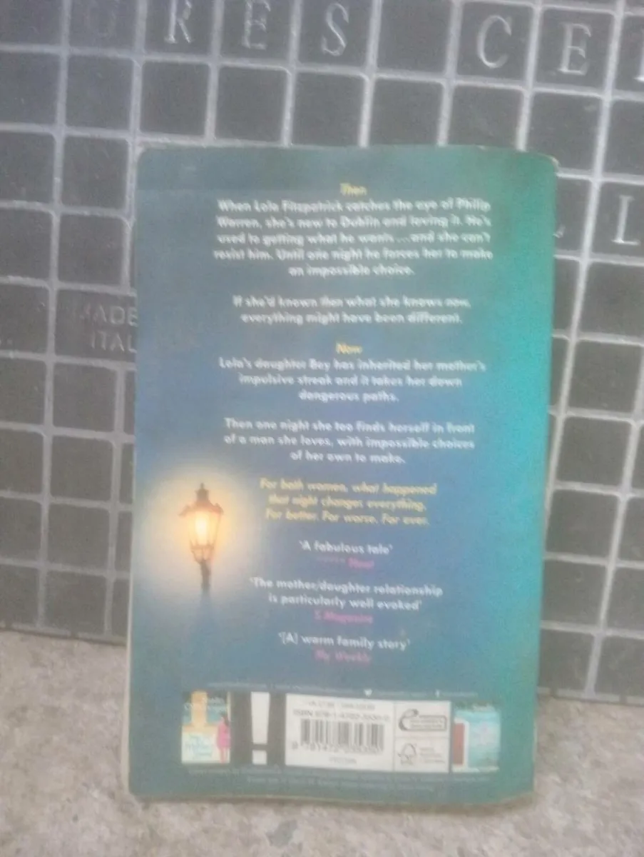 What Happened That Night by Shelia O'Flanagan - Image 2