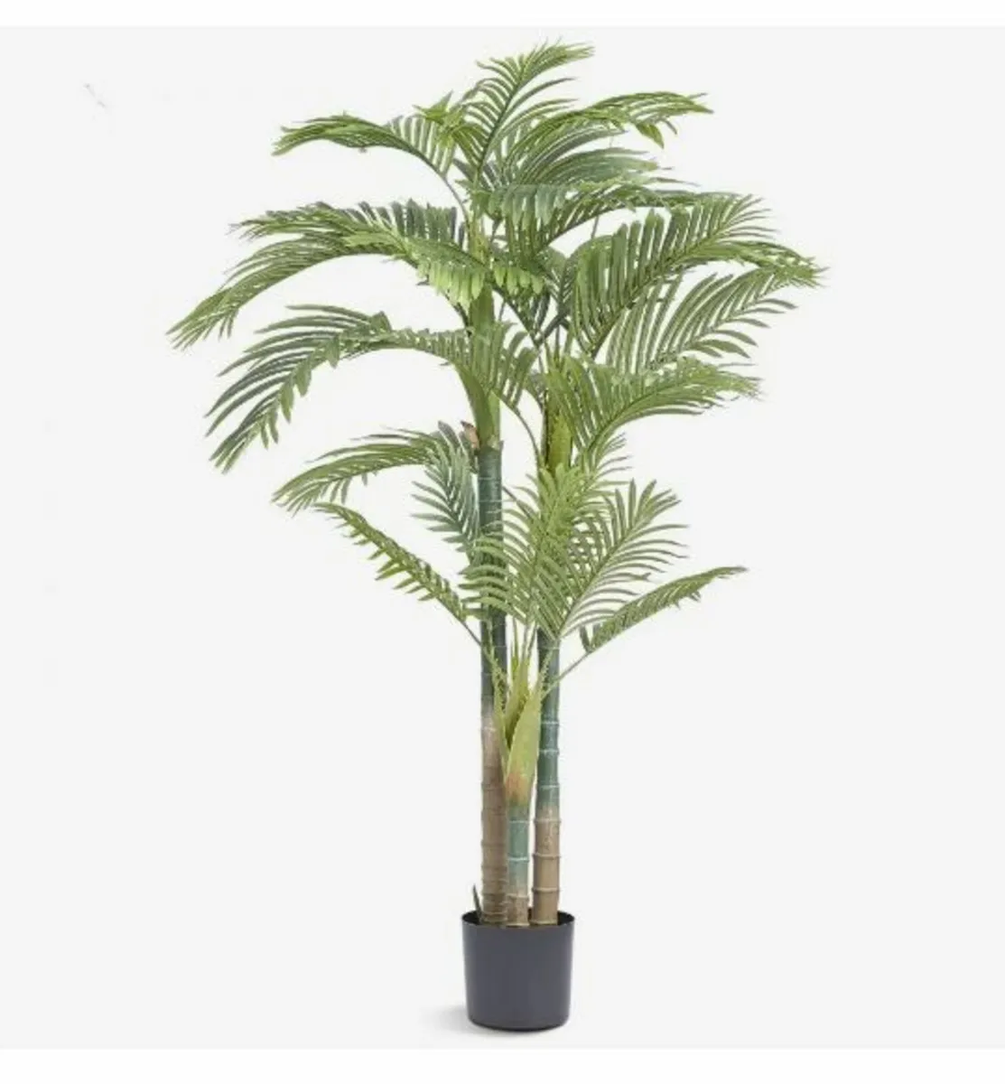 Artificial Gold Cane Palm Tree, 2m Tall - Image 1