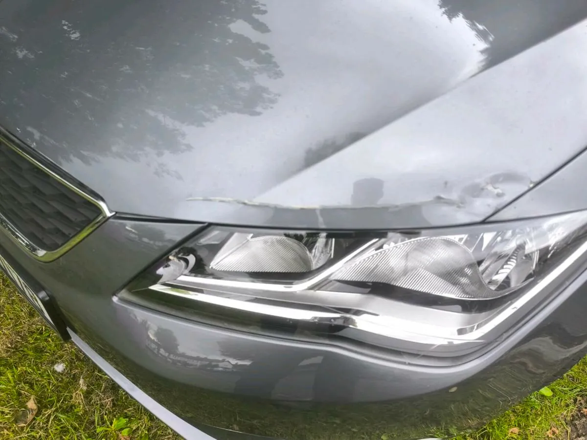 151 seat Leon - Image 2