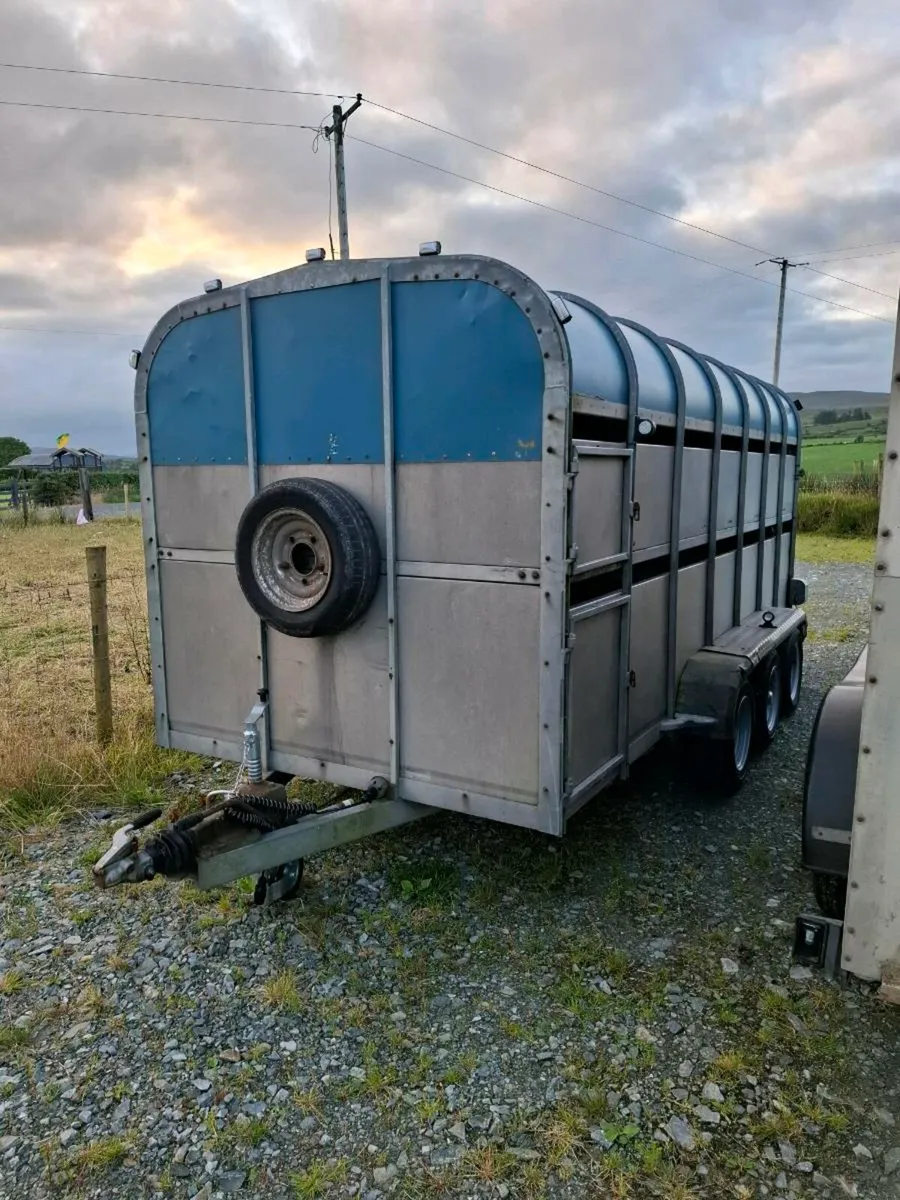 Crooks livestock trailer - Image 3