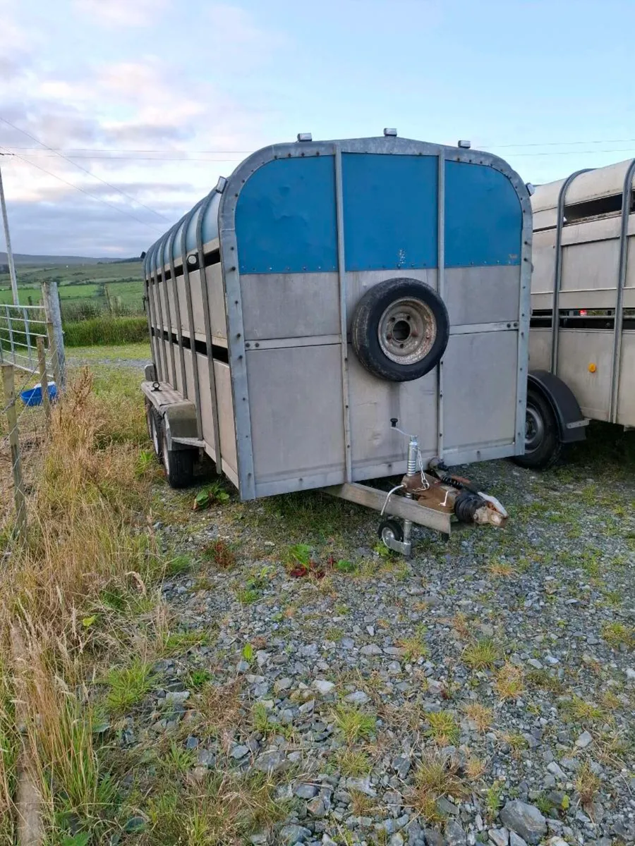 Crooks livestock trailer - Image 4