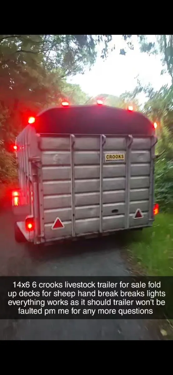 Crooks livestock trailer - Image 2