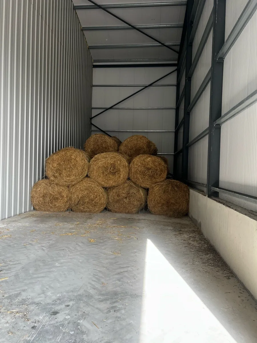 June Hay for Sale - Image 2