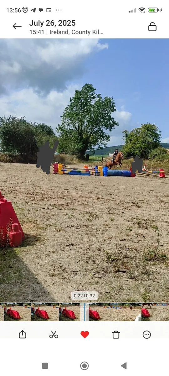 Horse - Image 2
