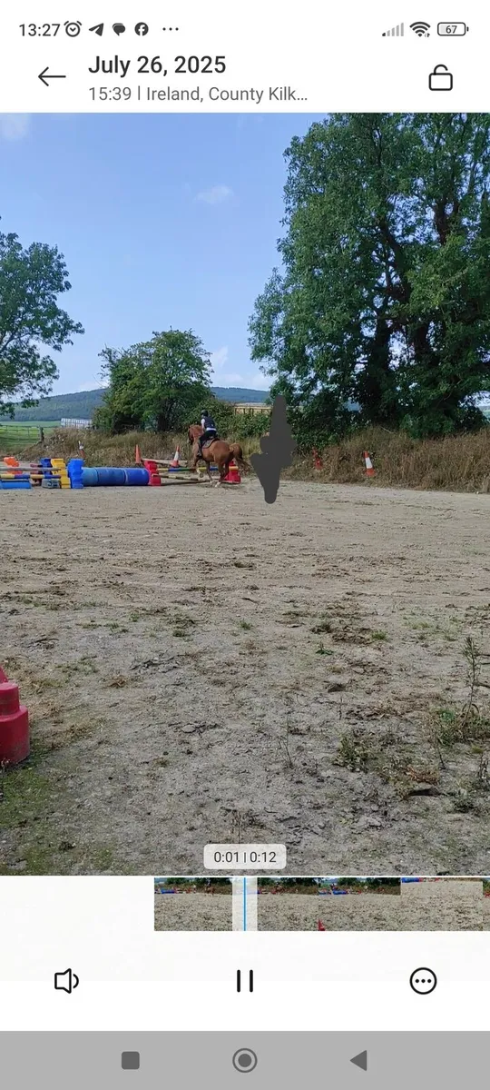 Horse - Image 3
