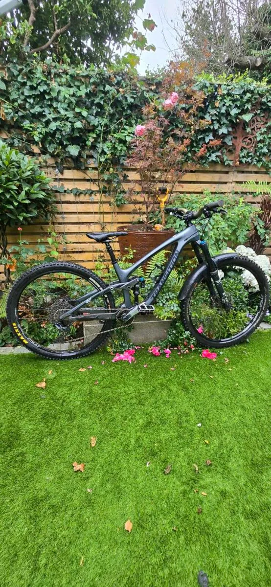 Transition Sentinel (full carbon) - Image 1