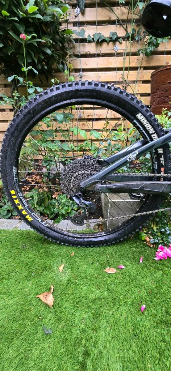 Transition Sentinel (full carbon) - Image 2
