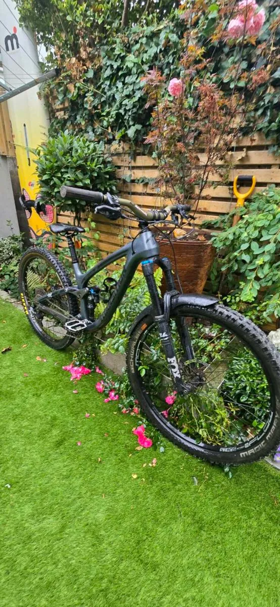 Transition Sentinel (full carbon) - Image 4