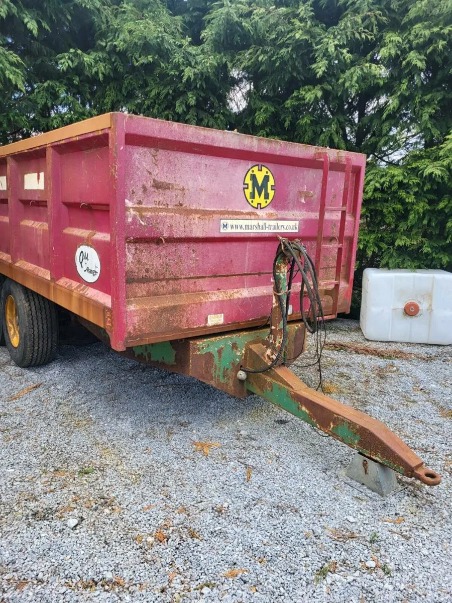 16x8 matshall grain trailer - Image 2
