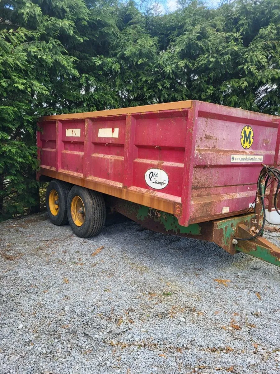 16x8 matshall grain trailer - Image 3