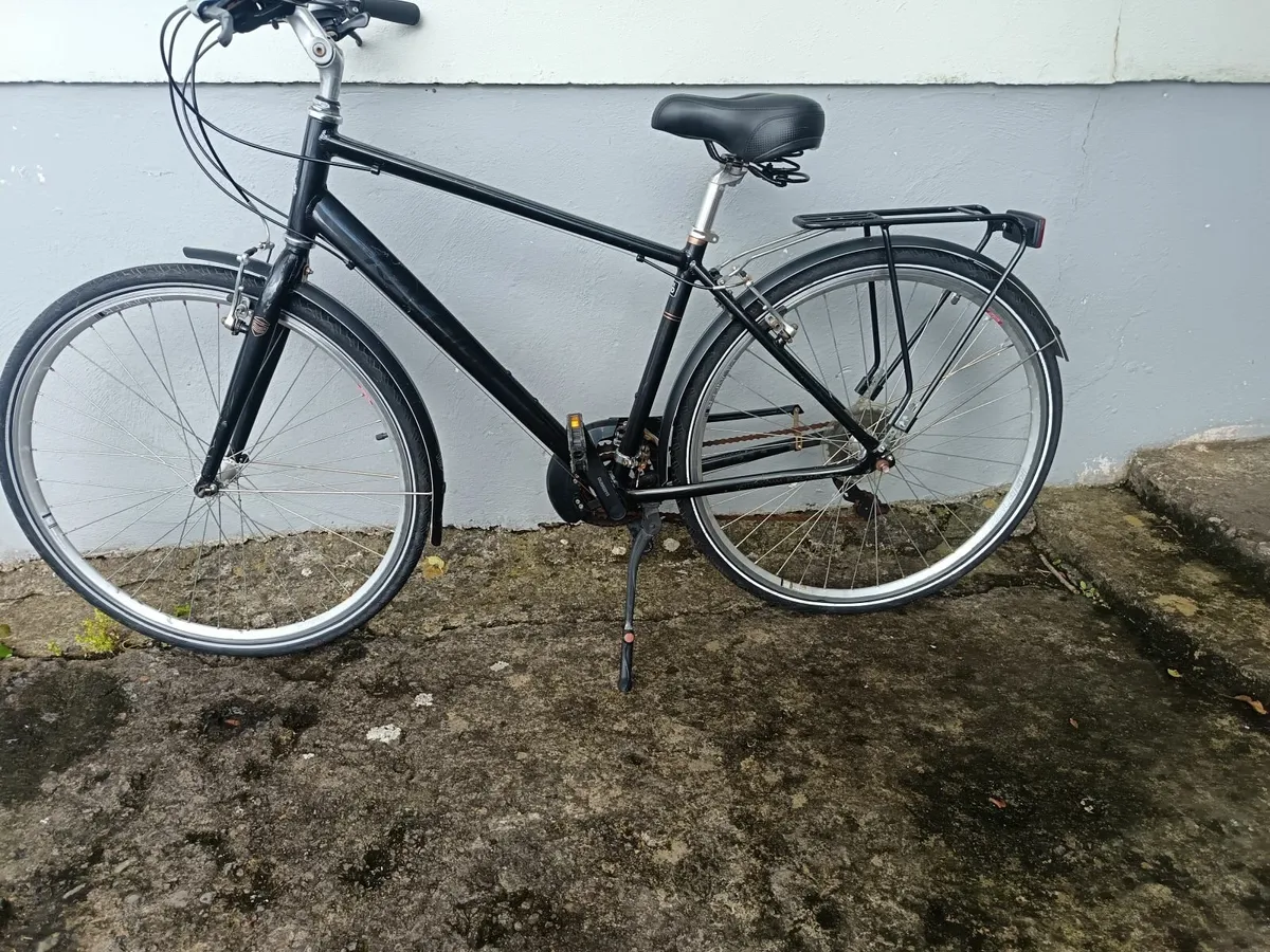Raleigh Pioneer Bike - Image 1