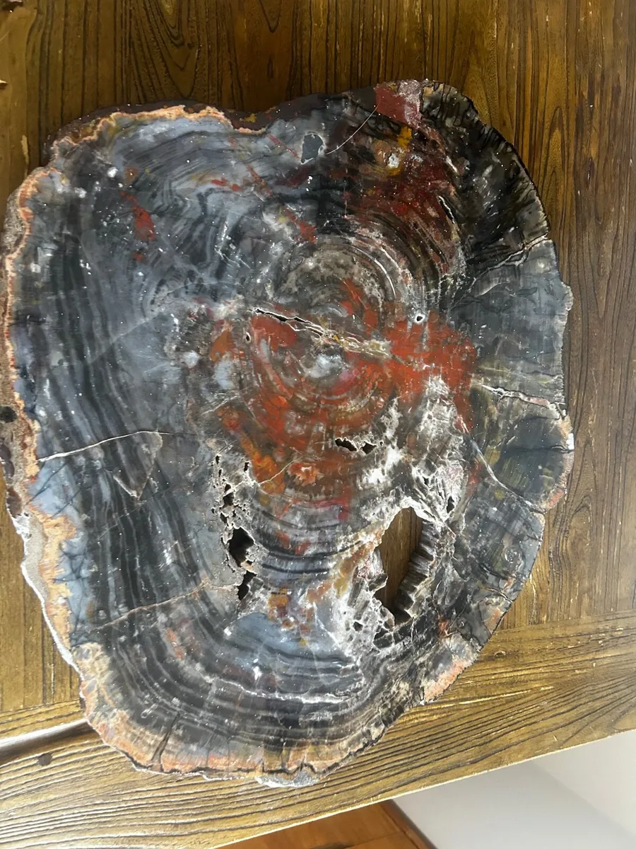 Rectified wood stunning piece - Image 4