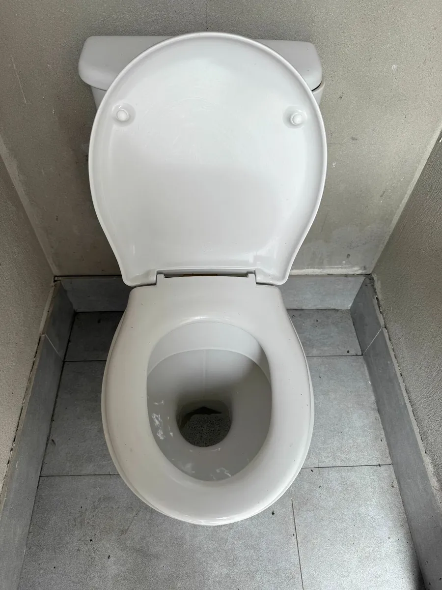 Toilet and Sink - Image 3