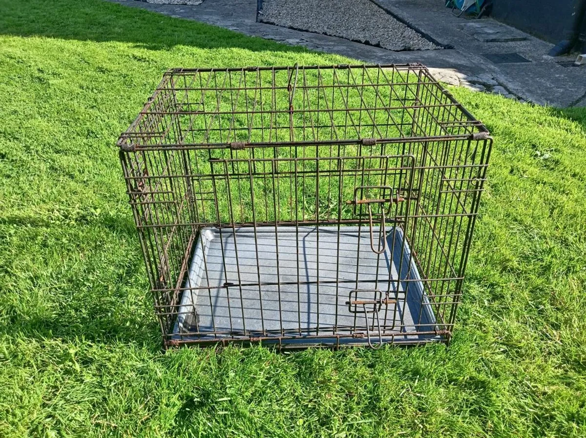 Dog crate - Image 1
