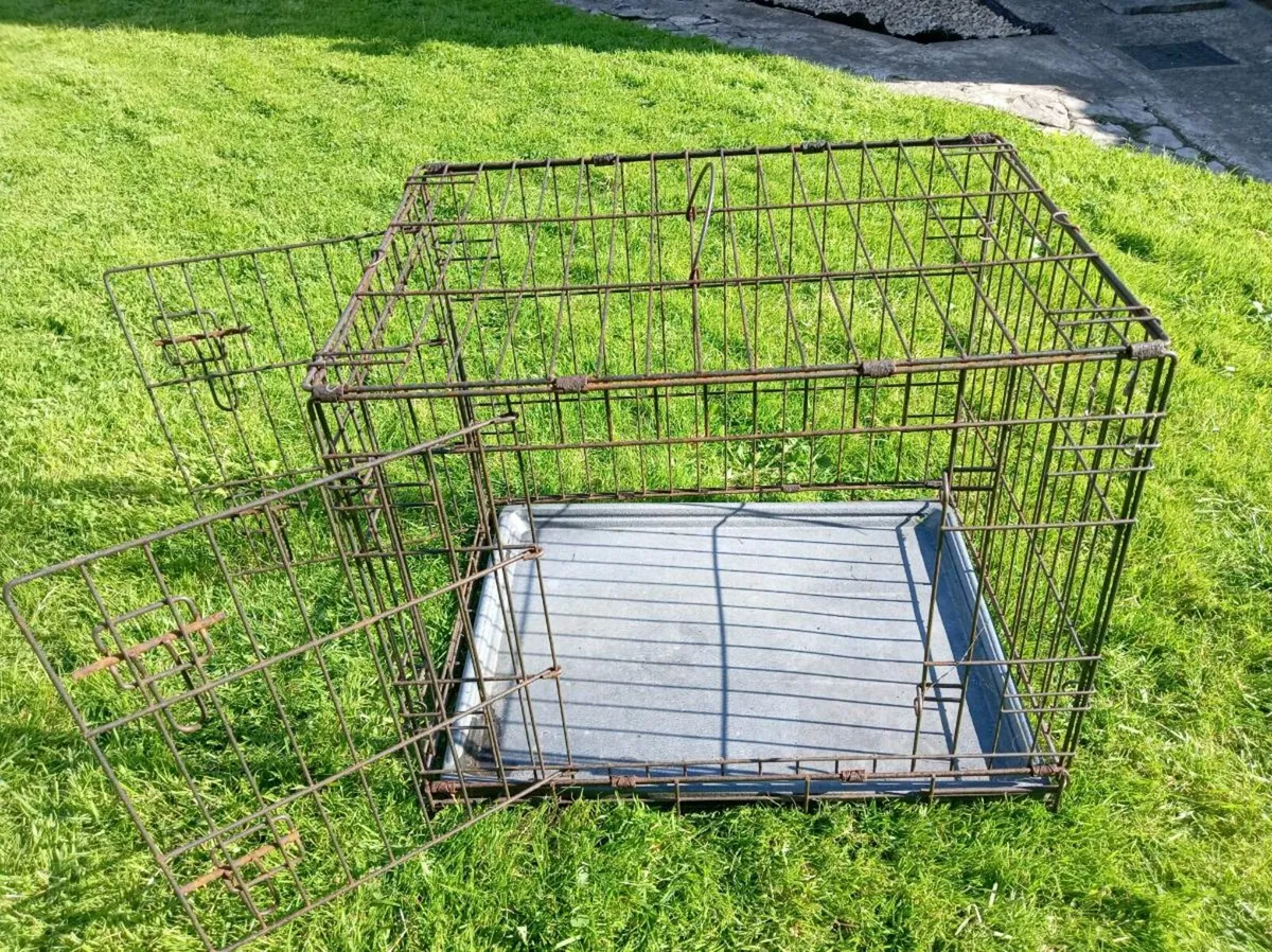 Dog crate - Image 2