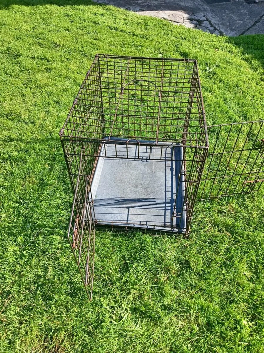 Dog crate - Image 4
