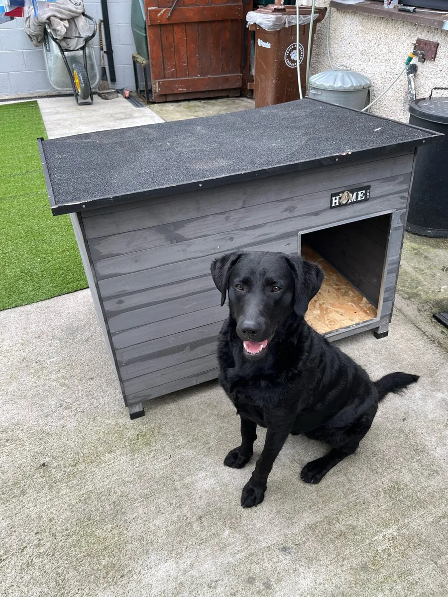 Dog kennel - Image 1