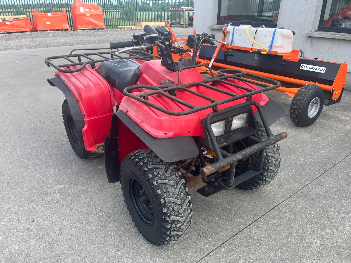 Yamaha Beartracker 250 - Image 2