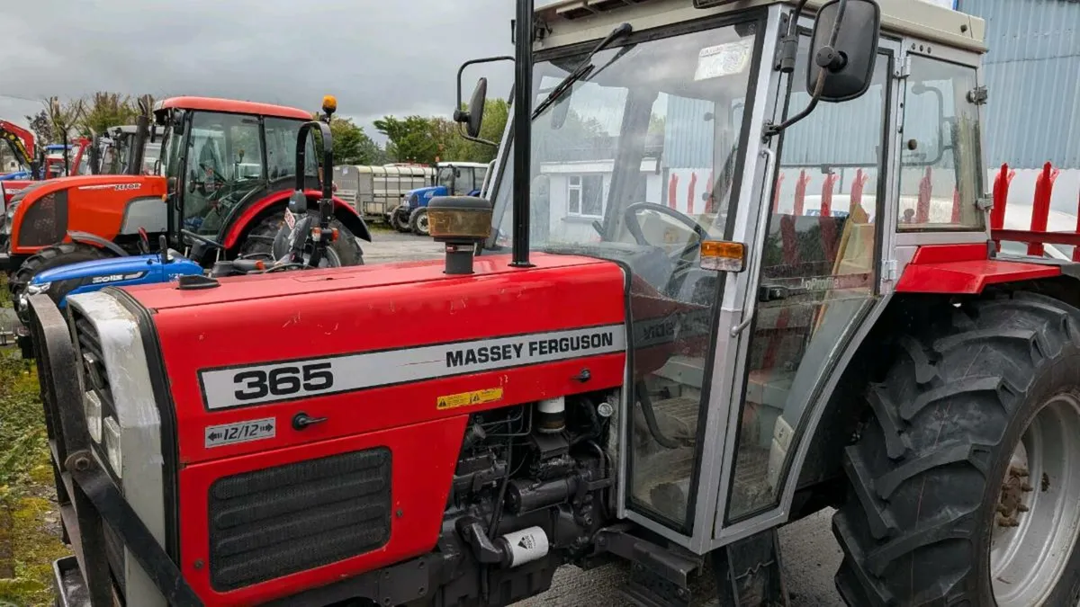 Massey Ferguson 365 - Image 2