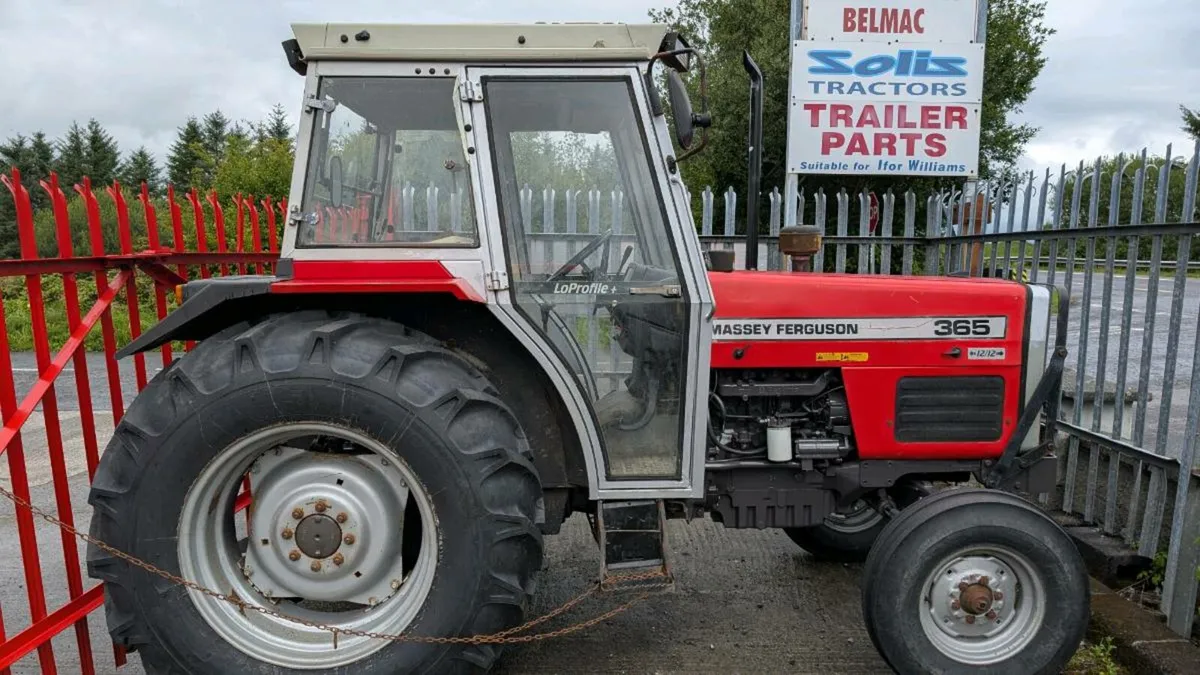Massey Ferguson 365 - Image 1