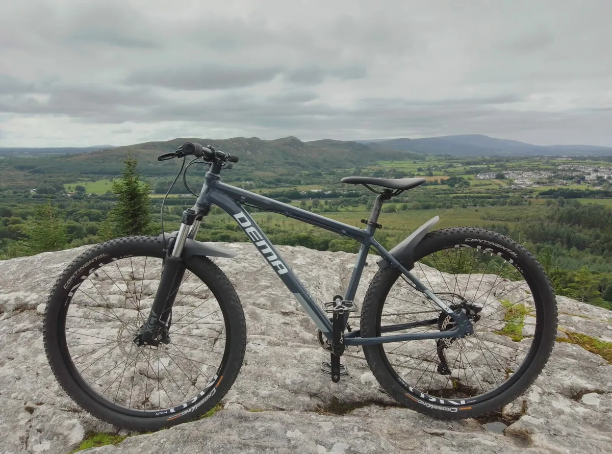 Mountain bike (negotiable price) - Image 2