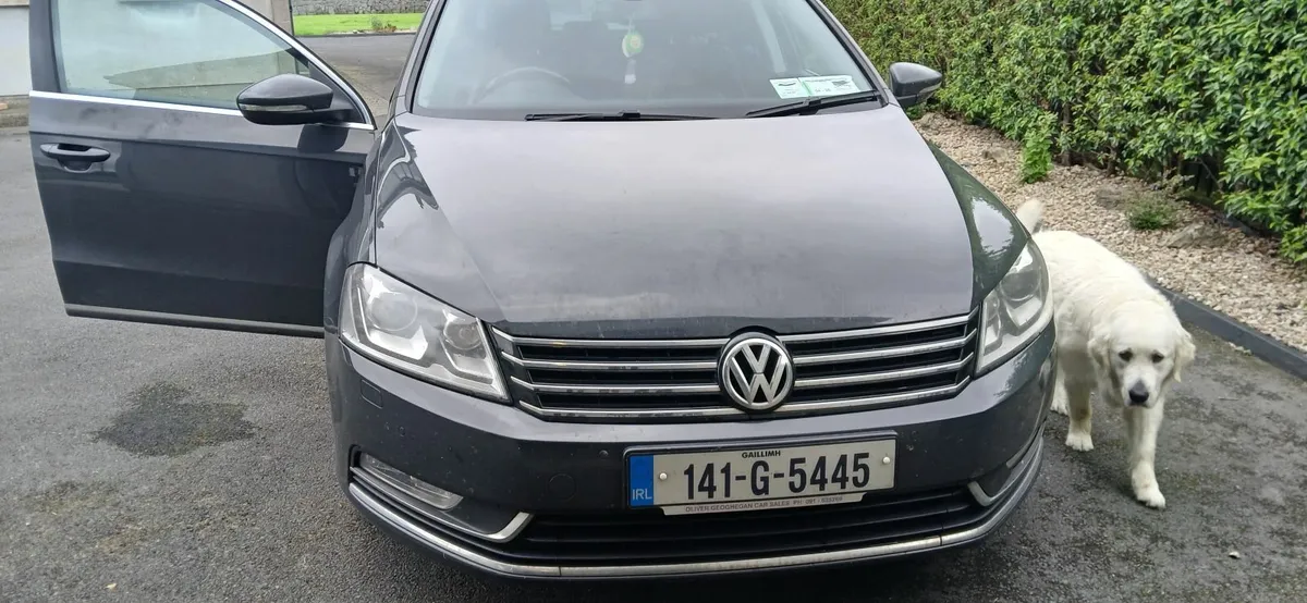 Volkswagen Passat 2014 - Image 3
