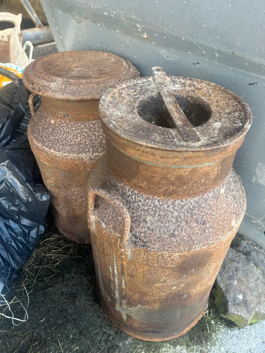 Milk Cans, Dung Fork and Other scrap steel - Image 1
