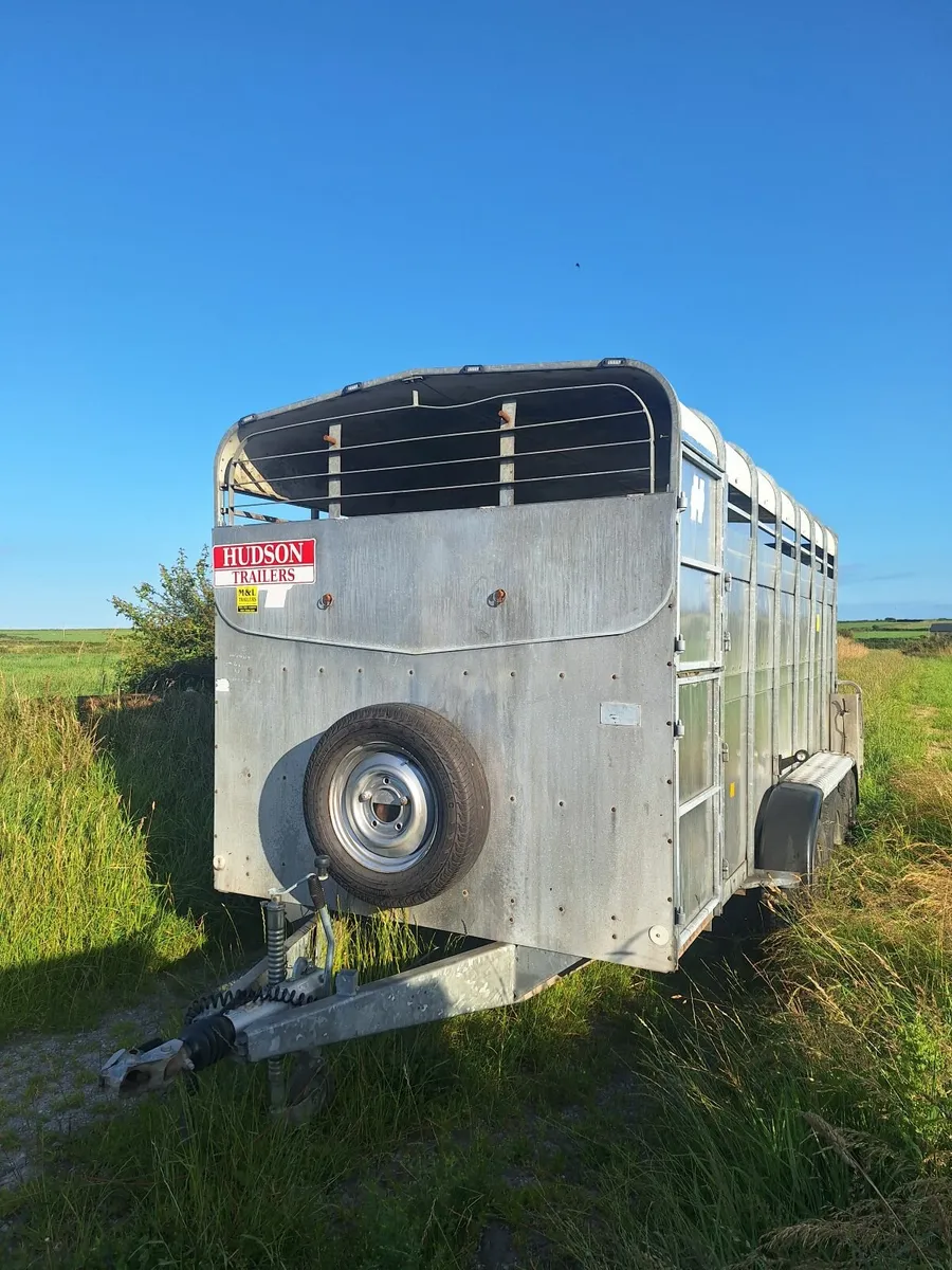Hudson 14 x 6 Cattle Trailer For Sale - Image 1