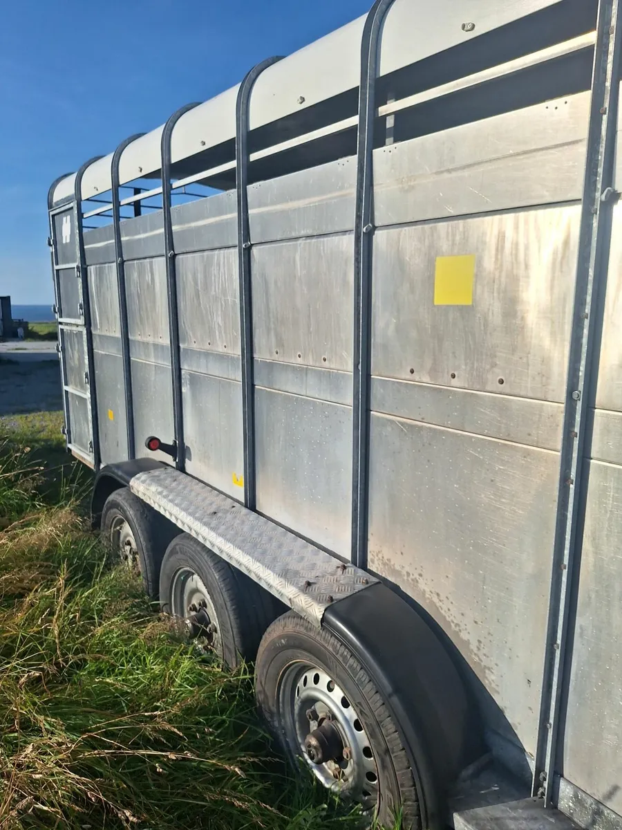 Hudson 14 x 6 Cattle Trailer For Sale - Image 2