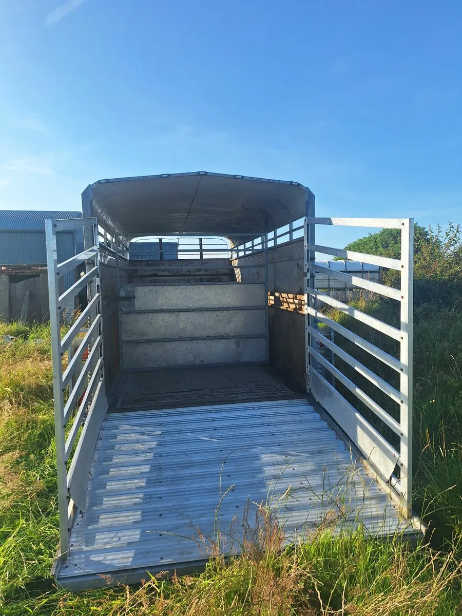 Hudson 14 x 6 Cattle Trailer For Sale - Image 3