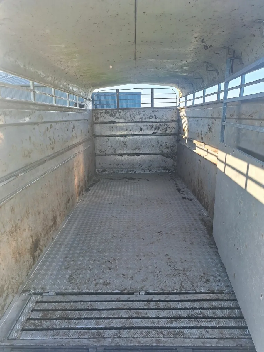 Hudson 14 x 6 Cattle Trailer For Sale - Image 4