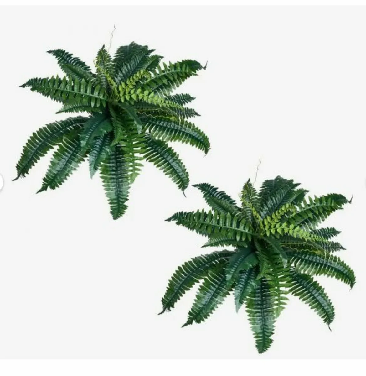 2Pcs Artificial Boston Ferns Plastic - Image 1