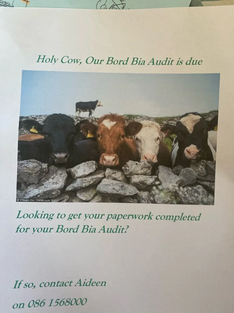 Bord bia audit