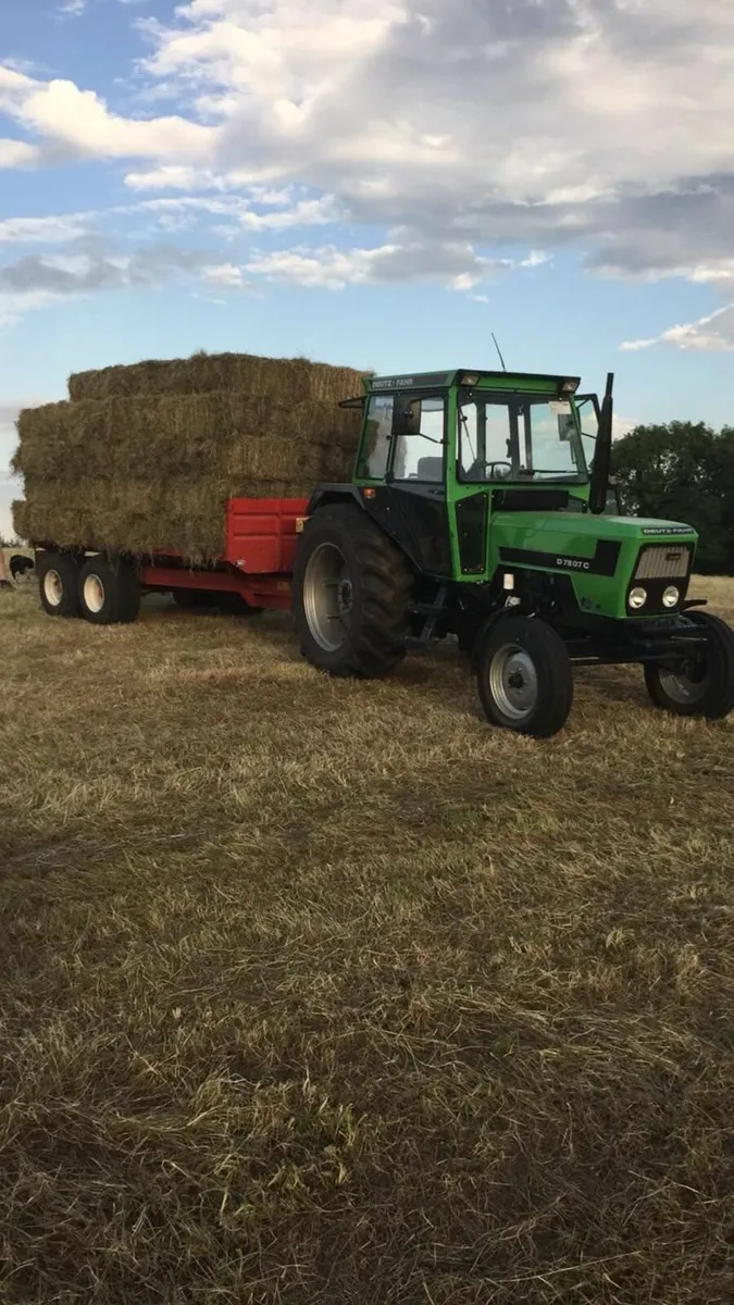 Square bales of hay - Image 2