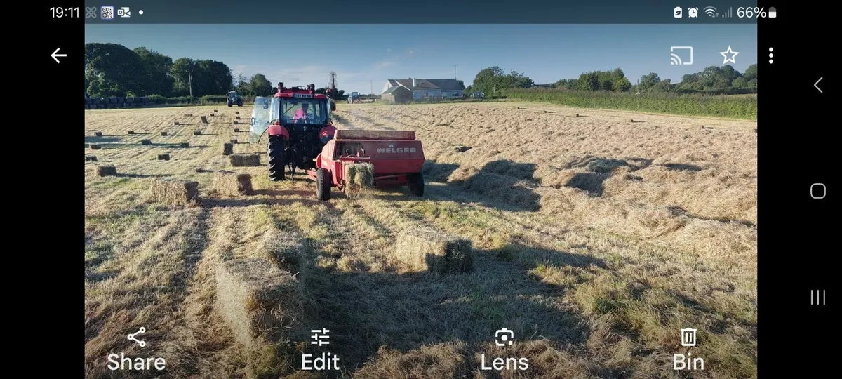Square bales of hay - Image 1