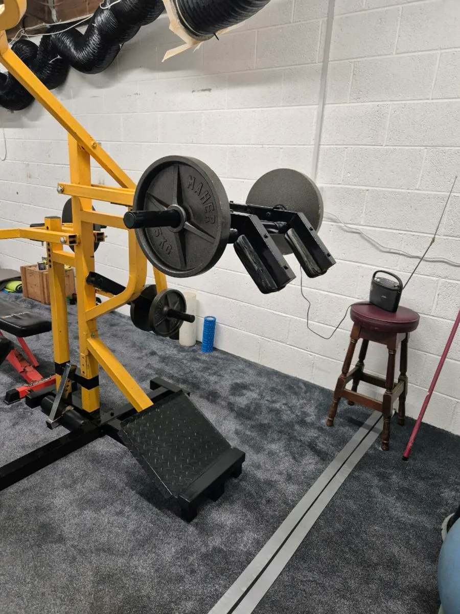 Multi-Function Plate-Loaded Gym Machine - Image 2