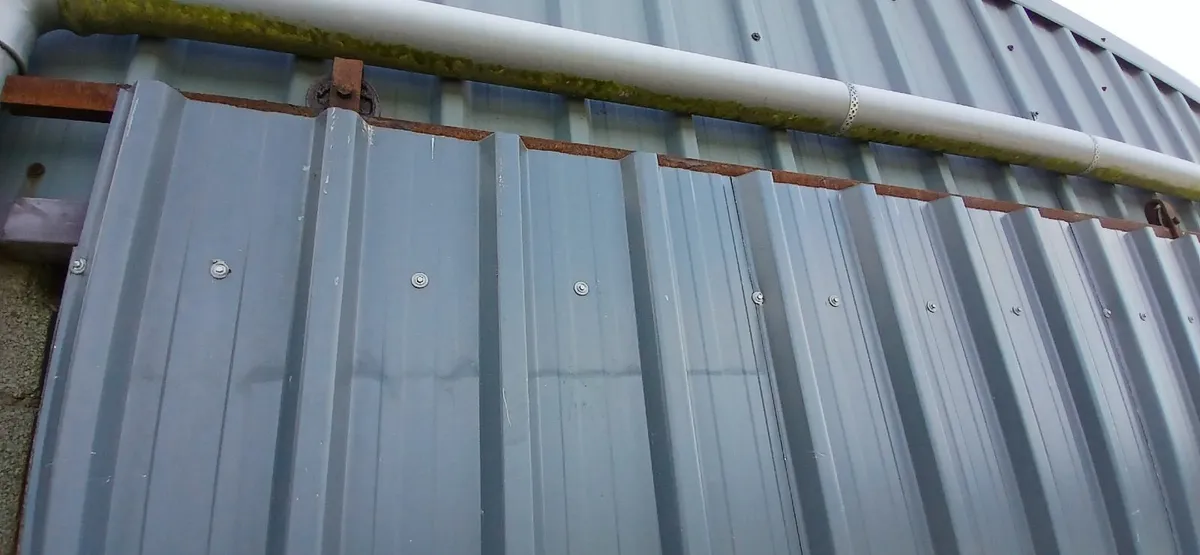Barn door - Image 4