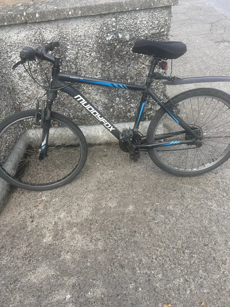 Adult bike