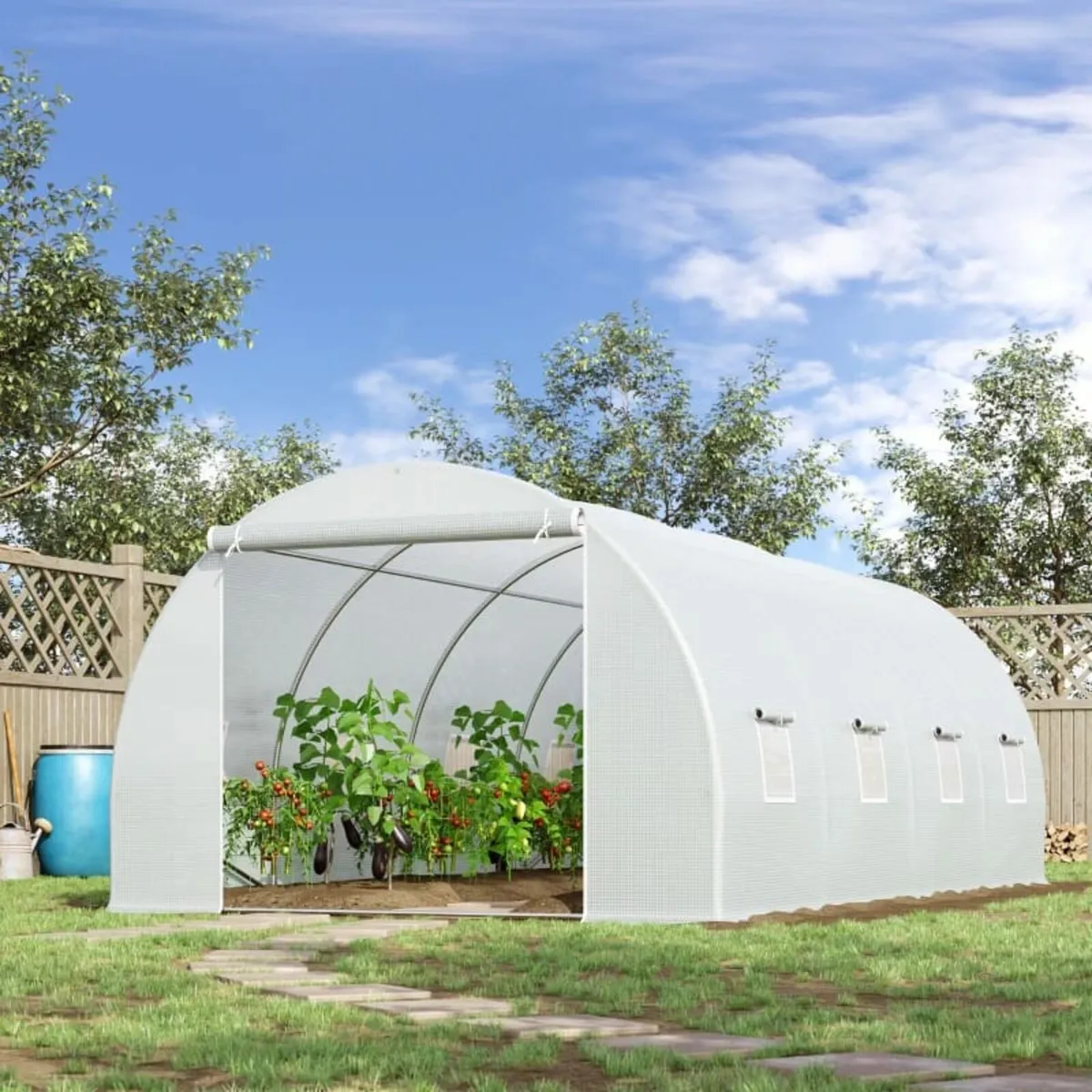Walk-in Tunnel Greenhouse Agricultural for Plants - Image 1