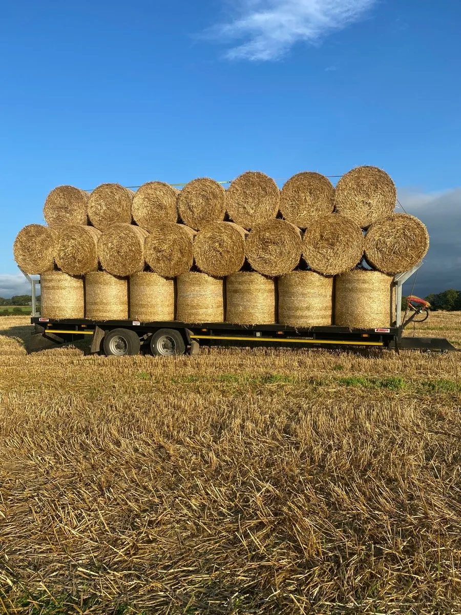 Straw - Image 2