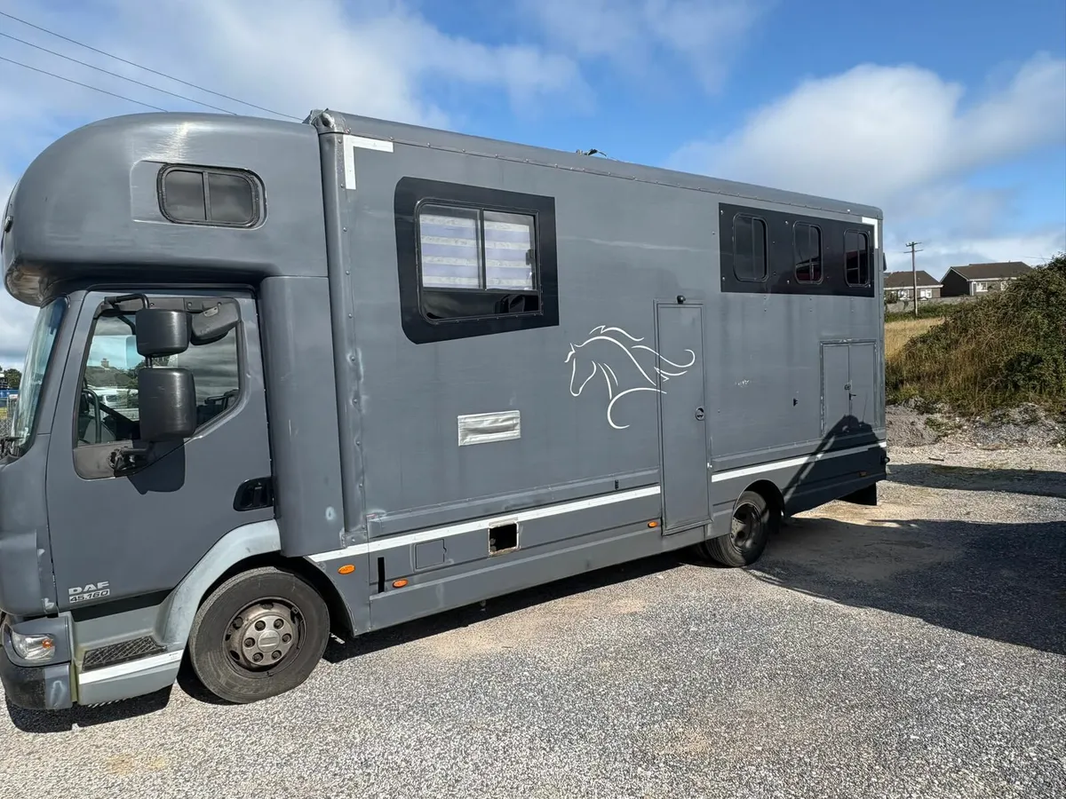 2008 DAF 3 horse lorry DOE &Tax - Image 2